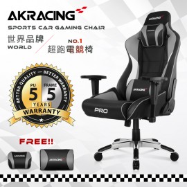 AKRACING超跑電競椅大師旗艦款-GT666 PRO X SERIES-灰