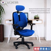 【DonQuiXoTe】韓國原裝Grandeur雙背透氣坐墊人體工學椅-海藍