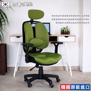 【DonQuiXoTe】韓國原裝Grandeur雙背透氣坐墊人體工學椅-綠