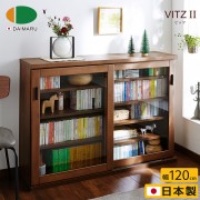 【DAIMARU】VITZ Ⅱ比茨拉門五層收納櫃-幅120cm-深棕